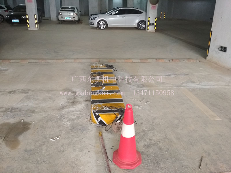 大新縣小區(qū)停車場系統(tǒng)-1